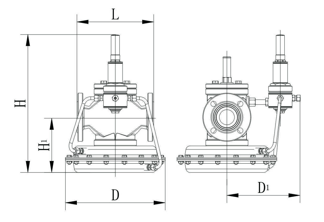 N型.1.jpg